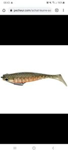 Lures Delalande Néo shallow