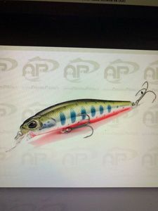 Leurres Duo  Realis Rozante 63sp Yamame Red Belly