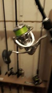Reels Daiwa tatula LT 3000