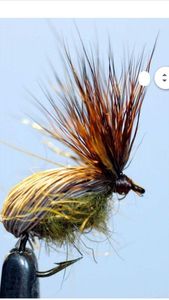 Flies null Tom pouce 
