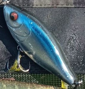 Lures Biwaa Fishing Performance Raffal 4" 10 cm 