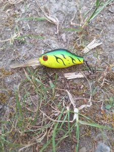 Lures B switcher B-switcher midget 4,5 cm - Fire tiger