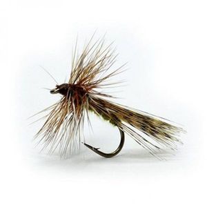 Flies Fait maison  Sedge Pardo 