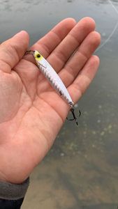Lures Caperlan Jig 15gr 