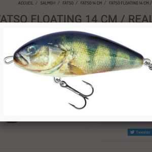 Lures Salmo FATSO 14 cm sinking