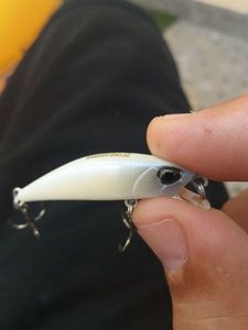 Lures Duo duo tetra works toto
