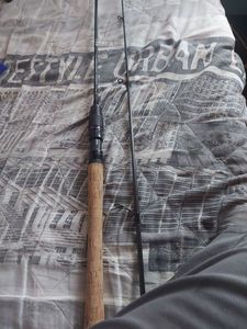 Rods Daiwa Daiwa prorex