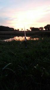 Rods Caperlan carpstalking 10"