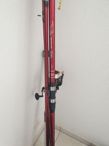 Rods Daiwa Sweepfire surf 50H