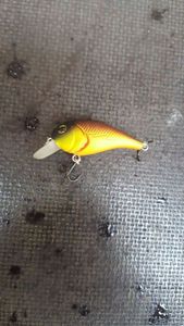 Lures Caperlan Lud 45 coloris fire tiger 