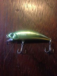 Lures Duo Ryuki 50f