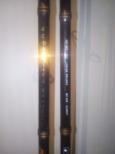 null Mitchell titan catfish 