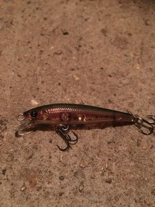 Lures Lucky Craft FLASH MINNOW TR 5.5CM 2.8G