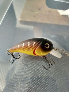 Lures Caperlan lude