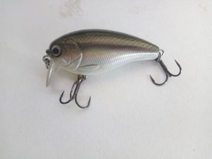 Lures null 1