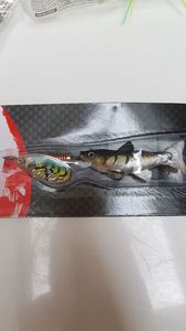 Lures Caperlan SPINO N°2 PERCH