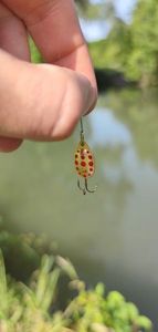 Lures Caperlan Cuiller Weta + #0 Or 