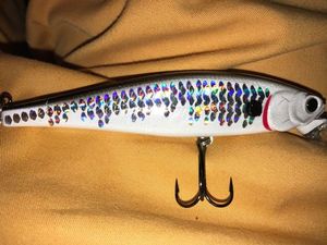 Lures Lucky Craft Pointer 100SP