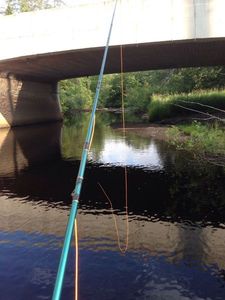 Rods null Martin Fly Rod