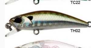 Lures Duo TOTO 42 TETRA WORKS TH02