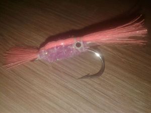 Flies steamnag crevettes lumineux 