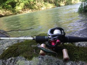 Reels Abu Garcia révo mgxtreme 