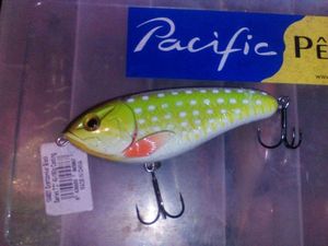 Lures Illex dexter jerk 120 68g