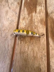 Lures Caperlan Whopper popper