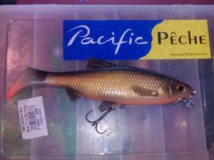 Lures Savage Gear 3d river roach 18cm x2
