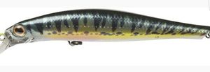 Lures Jackson artist 70