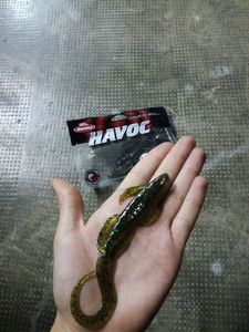 Lures Berkley boss dog