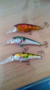 Lures Caperlan ?