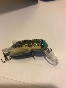 Lures Rebel Lures Bumbulbug