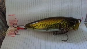 Lures Yuki poper