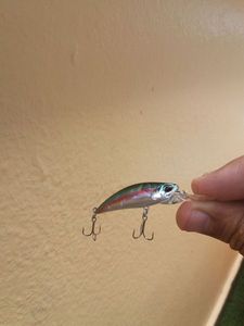 Lures Duo tetra works toto shad