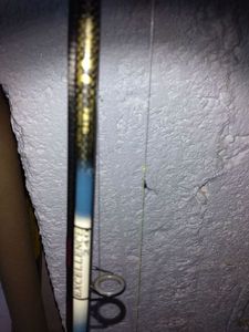 Rods Mitchell Excellence 240, 10/30g