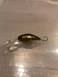 Lures Illex Diving chubby 3,8cm