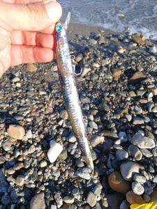 Lures seaspin seaspin mommotti 180 acc
