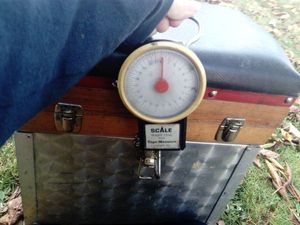 Accessories SCALE Pèse poisson Accessories SCALE Pèse poisson