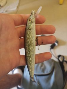 Lures Effzett Jerkbait effzett broc