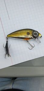 Lures Spro Iris flanky 90