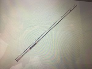 Rods Daiwa Procaster 210 L 3/15g