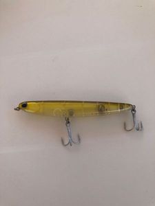 Lures Bearking Walking Dog