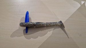 Lures Reins Fat Rockvibe shad 4" 071 East Coast phase 1