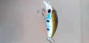 Lures null crank 05