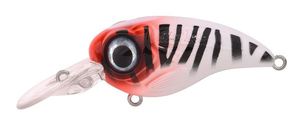 Lures Spro FAT IRIS 60 CR - Rh Tiger