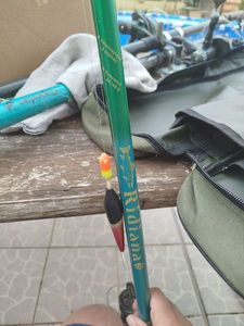 Rods Tec fish Canne Ridiana 3m télescopique puissance 20/40g