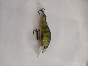 Lures Amazon Poisson nager