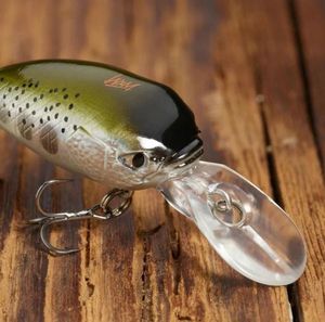 Lures WIXOM POISSON NAGEUR CRANKBAIT WXM CRK 30 F YAMAME Lures WIXOM POISSON NAGEUR CRANKBAIT WXM CRK 30 F YAMAME