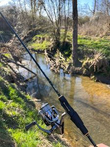 Rods Mitchell Epic MX2 spinning rod